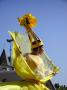 gal/Suite_Tour_de_France_2006/_thb_Tour de France 2006 720.jpg